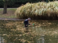 Ehering im Stadtparkt Wien beim Entenfüttern verloren