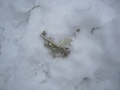 Wohnungsschlüssel wurde im Schnee verloren